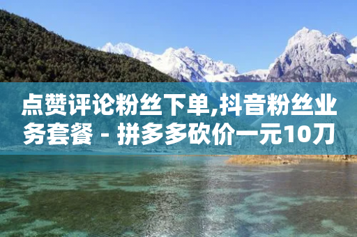 点赞评论粉丝下单,抖音粉丝业务套餐 - 拼多多砍价一元10刀 - 提现700最后阶段-第1张图片-靖非智能科技传媒