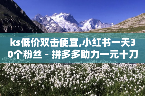 ks低价双击便宜,小红书一天30个粉丝 - 拼多多助力一元十刀怎么弄 - 拼多多砍一刀神拒绝