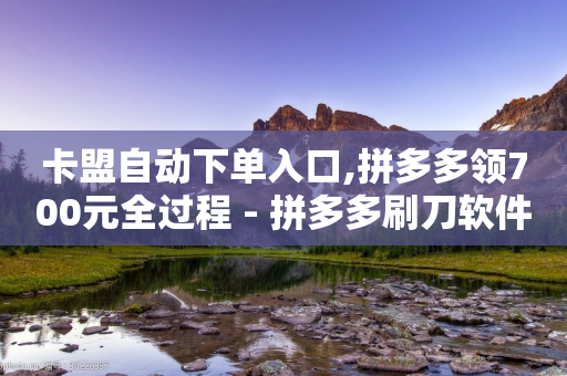 卡盟自动下单入口,拼多多领700元全过程 - 拼多多刷刀软件 - 2024拼多多