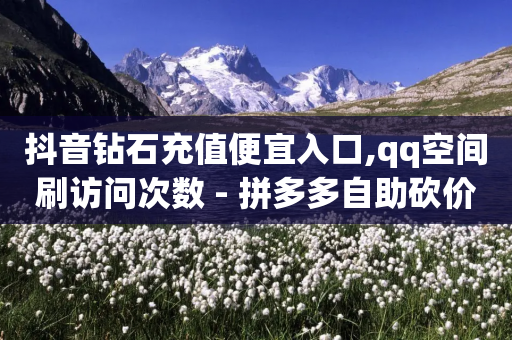 抖音钻石充值便宜入口,qq空间刷访问次数 - 拼多多自助砍价网站 - 买多多下载