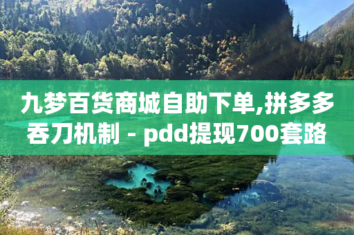 九梦百货商城自助下单,拼多多吞刀机制 - pdd提现700套路最后一步 - 拼多多助力买人在哪里买