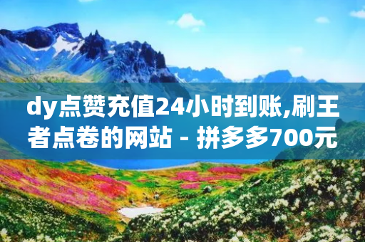 dy点赞充值24小时到账,刷王者点卷的网站 - 拼多多700元是诈骗吗 - 拼多多砍一刀插件