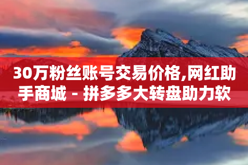 30万粉丝账号交易价格,网红助手商城 - 拼多多大转盘助力软件 - 淘宝有多少商家