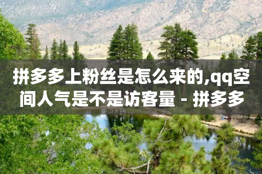 拼多多上粉丝是怎么来的,qq空间人气是不是访客量 - 拼多多700元助力到元宝了 - 拼多多商家远程码在哪打开