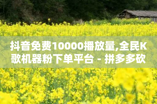 抖音免费10000播放量,全民K歌机器粉下单平台 - 拼多多砍一刀 - 拼多多支付出码-第1张图片-靖非智能科技传媒