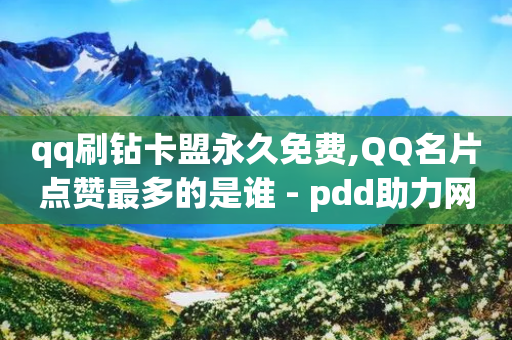 qq刷钻卡盟永久免费,QQ名片点赞最多的是谁 - pdd助力网站免费 - 拼多多10万销量