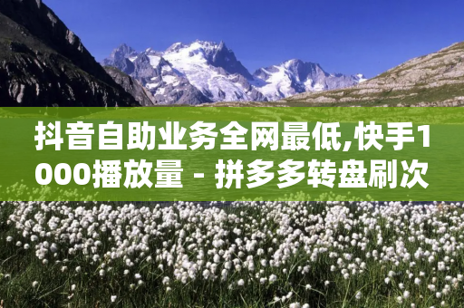 抖音自助业务全网最低,快手1000播放量 - 拼多多转盘刷次数网站免费 - 拼多多互助能成功吗