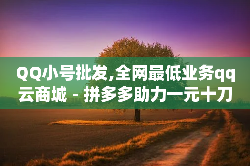 QQ小号批发,全网最低业务qq云商城 - 拼多多助力一元十刀网页 - 拼多多建议开不开极速起量