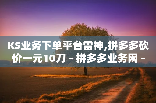 KS业务下单平台雷神,拼多多砍价一元10刀 - 拼多多业务网 - 拼多多互助刷刀