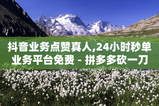 抖音业务点赞真人,24小时秒单业务平台免费 - 拼多多砍一刀网站 - 真人拼多多助力