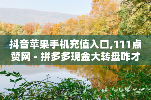 抖音苹果手机充值入口,111点赞网 - 拼多多现金大转盘咋才能成功 - 拼多多吞刀显示上限