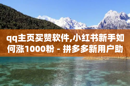 qq主页买赞软件,小红书新手如何涨1000粉 - 拼多多新用户助力神器 - 拼多多套路元宝变成什么