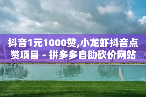 抖音1元1000赞,小龙虾抖音点赞项目 - 拼多多自助砍价网站 - 拼多多官网商家入驻入口