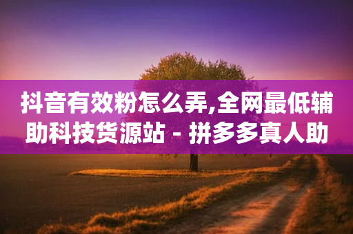 抖音有效粉怎么弄,全网最低辅助科技货源站 - 拼多多真人助力平台免费 - 卡盟pdd助力-第1张图片-靖非智能科技传媒