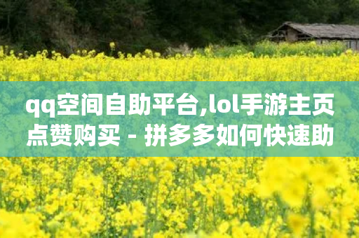 qq空间自助平台,lol手游主页点赞购买 - 拼多多如何快速助力成功 - 拼多多现金大转盘助力50元步骤