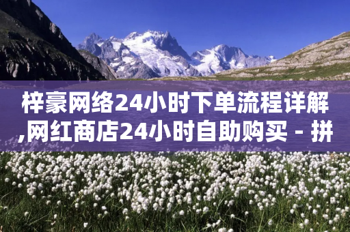 梓豪网络24小时下单流程详解,网红商店24小时自助购买 - 拼多多助力网站在线刷便宜 - 拼多多现金大抽奖