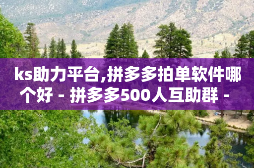 ks助力平台,拼多多拍单软件哪个好 - 拼多多500人互助群 - 如何在拼多多批量采购