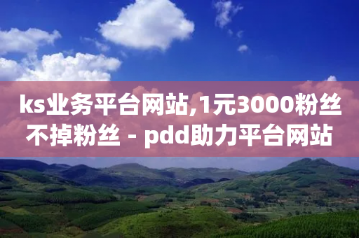 ks业务平台网站,1元3000粉丝不掉粉丝 - pdd助力平台网站 - 拼多多如何助力 复制链接