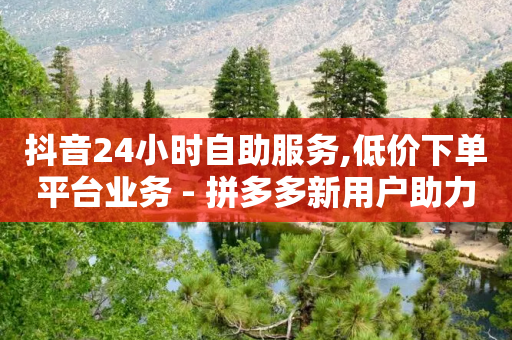 抖音24小时自助服务,低价下单平台业务 - 拼多多新用户助力神器 - 拼多多免单5件安全吗