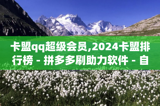 卡盟qq超级会员,2024卡盟排行榜 - 拼多多刷助力软件 - 自动抢货秒杀下单软件