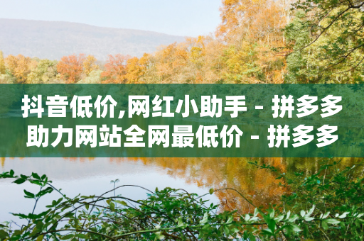 抖音低价,网红小助手 - 拼多多助力网站全网最低价 - 拼多多怎么自己下单买商品