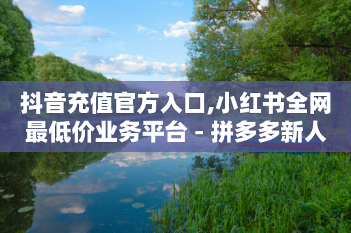 抖音充值官方入口,小红书全网最低价业务平台 - 拼多多新人助力网站 - 免费微信互助群