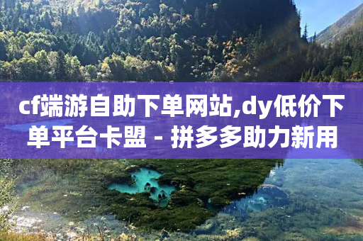 cf端游自助下单网站,dy低价下单平台卡盟 - 拼多多助力新用户网站 - 拼多多产品和市场细分