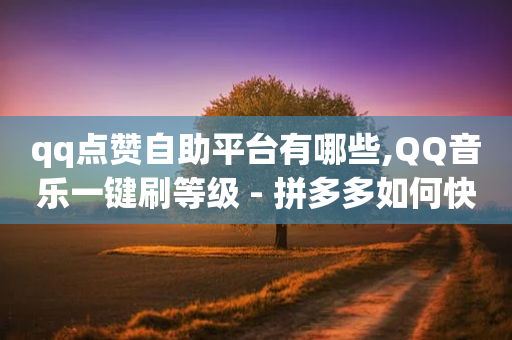 qq点赞自助平台有哪些,QQ音乐一键刷等级 - 拼多多如何快速助力成功 - 拼多多如何快速助力成功