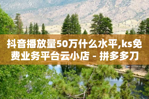 抖音播放量50万什么水平,ks免费业务平台云小店 - 拼多多刀 - 拼多多领现金多少人上限-第1张图片-靖非智能科技传媒