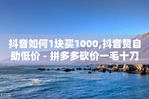 抖音如何1块买1000,抖音赞自助低价 - 拼多多砍价一毛十刀网站靠谱吗 - 拼多多匹配讲解视频要钱吗-第1张图片-靖非智能科技传媒