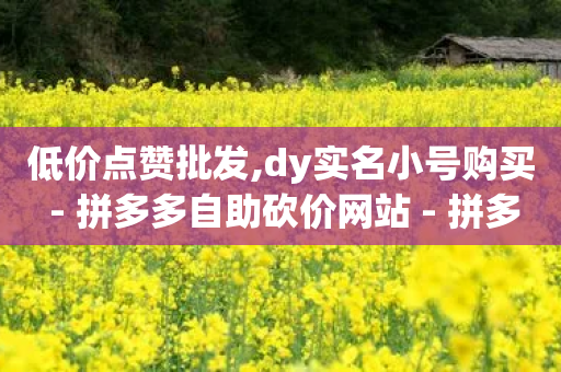 低价点赞批发,dy实名小号购买 - 拼多多自助砍价网站 - 拼多多50元真能提现吗