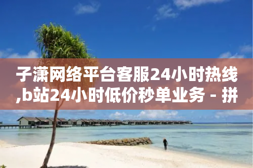 子潇网络平台客服24小时热线,b站24小时低价秒单业务 - 拼多多现金大转盘刷助力网站 - 我把它要拼多多-第1张图片-靖非智能科技传媒