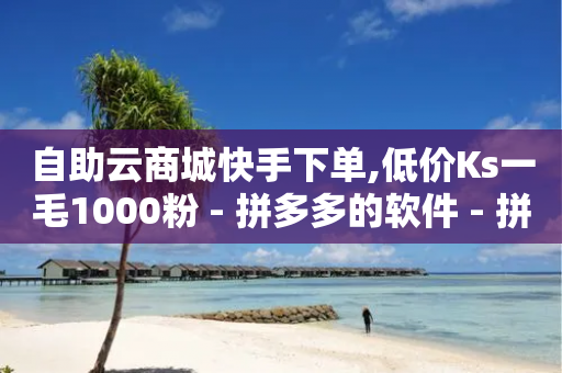 自助云商城快手下单,低价Ks一毛1000粉 - 拼多多的软件 - 拼多多助力器能用吗