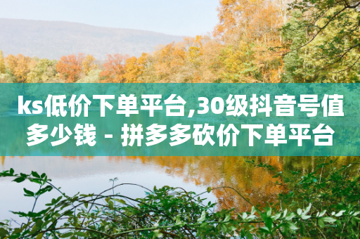 ks低价下单平台,30级抖音号值多少钱 - 拼多多砍价下单平台 - 拼多多免费帮忙助力-第1张图片-靖非智能科技传媒