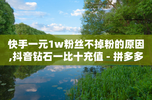 快手一元1w粉丝不掉粉的原因,抖音钻石一比十充值 - 拼多多如何卖助力 - 拼多多转盘真的可以提现吗-第1张图片-靖非智能科技传媒