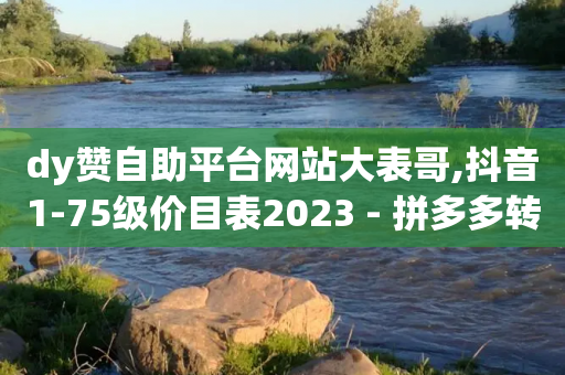 dy赞自助平台网站大表哥,抖音1-75级价目表2023 - 拼多多转盘助力网站 - 拼多多2018版本下载安装-第1张图片-靖非智能科技传媒