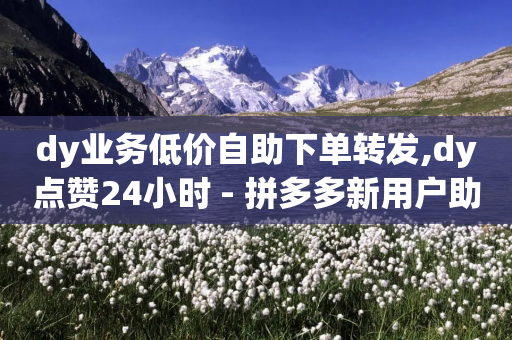 dy业务低价自助下单转发,dy点赞24小时 - 拼多多新用户助力神器 - pdd吞刀还要继续吗