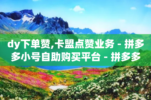 dy下单赞,卡盟点赞业务 - 拼多多小号自助购买平台 - 拼多多助力群免费加入-第1张图片-靖非智能科技传媒