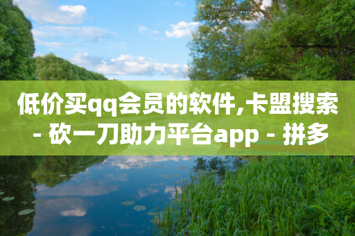 低价买qq会员的软件,卡盟搜索 - 砍一刀助力平台app - 拼多多商家被薅羊毛怎么办-第1张图片-靖非智能科技传媒