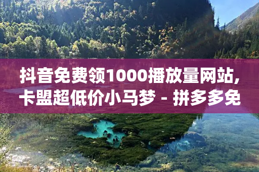 抖音免费领1000播放量网站,卡盟超低价小马梦 - 拼多多免费助力工具1.0.5 免费版 - dpd人工客服电话95068号码-第1张图片-靖非智能科技传媒