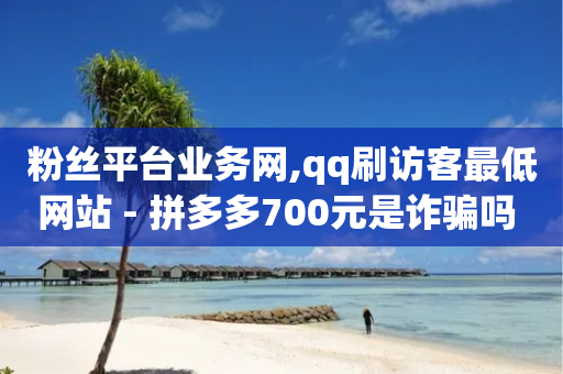 粉丝平台业务网,qq刷访客最低网站 - 拼多多700元是诈骗吗 - 拼刀刀红包助力