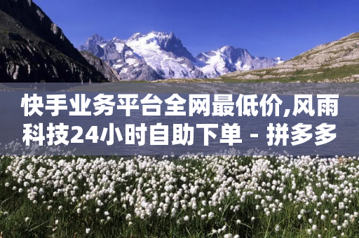 快手业务平台全网最低价,风雨科技24小时自助下单 - 拼多多业务平台自助下单 - 砍价软件免费版