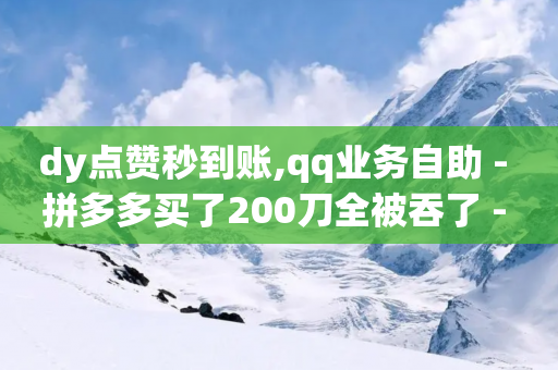 dy点赞秒到账,qq业务自助 - 拼多多买了200刀全被吞了 - 快手刷助力软件app