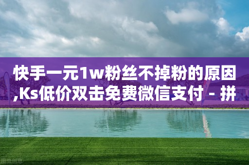 快手一元1w粉丝不掉粉的原因,Ks低价双击免费微信支付 - 拼多多无限助力工具 - 拼多多买刀能砍成功吗-第1张图片-靖非智能科技传媒