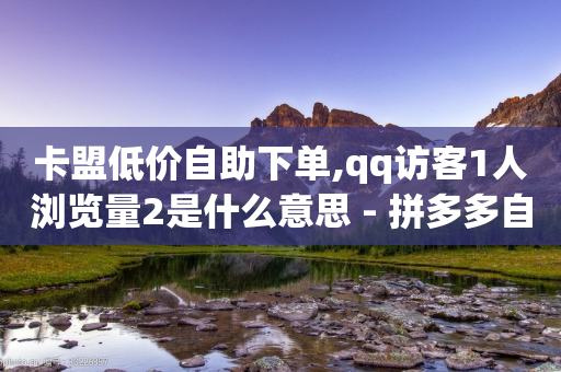 卡盟低价自助下单,qq访客1人浏览量2是什么意思 - 拼多多自助下单24小时平台 - 拼多多商家工作台app-第1张图片-靖非智能科技传媒