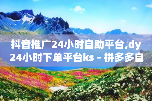 抖音推广24小时自助平台,dy24小时下单平台ks - 拼多多自动下单软件下载 - pdd现金大转盘助力-第1张图片-靖非智能科技传媒