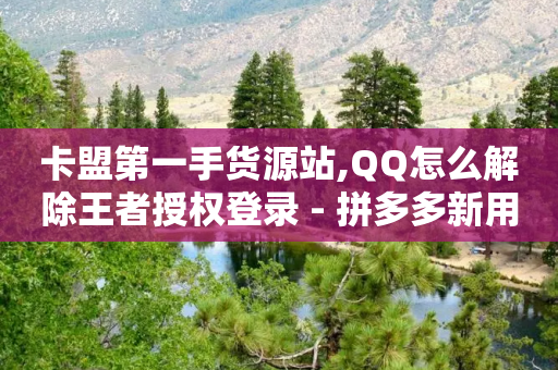 卡盟第一手货源站,QQ怎么解除王者授权登录 - 拼多多新用户助力网站免费 - 怎么刷拼多多助力-第1张图片-靖非智能科技传媒