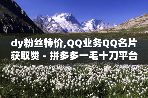 dy粉丝特价,QQ业务QQ名片获取赞 - 拼多多一毛十刀平台 - 拼多多吞刀-第1张图片-靖非智能科技传媒