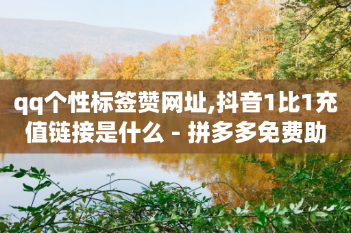 qq个性标签赞网址,抖音1比1充值链接是什么 - 拼多多免费助力工具最新版 - 拼多多自选五样商品是真的吗-第1张图片-靖非智能科技传媒