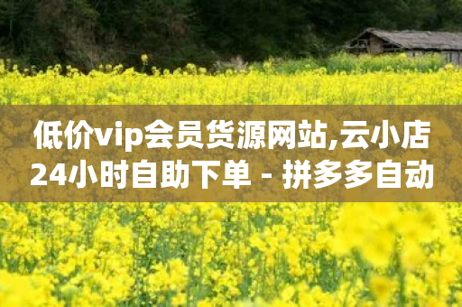 低价vip会员货源网站,云小店24小时自助下单 - 拼多多自动下单软件下载 - 拼多多现金大转盘免费助力-第1张图片-靖非智能科技传媒